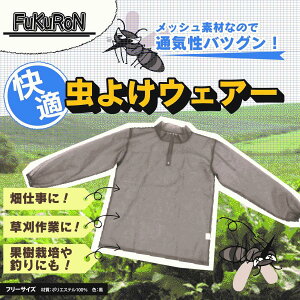 悯EGA EFA[ bV 㒅 _ ƕ _Ɨp K[fjO   ƒ