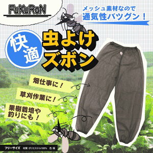 Y{ 悯EGA EFA[ bVpc ڂ _ ƕ _Ɨp K[fjO   ƒ