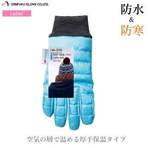 ӂ  h h zbgG[X HA-316 O[u fB[X ] oCN ނ AEghA pi