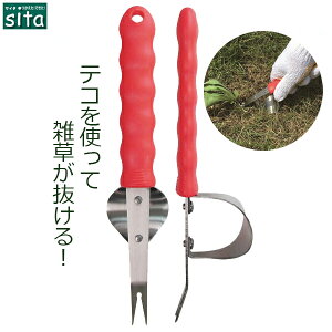 sita eRt G    tH[N G |  p 둢 XeX тɂ | K[fjO A627