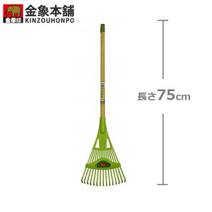  vX`bN [L v[L 75cm F ܂ tW t| |