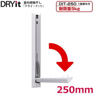   Ǌ| nK[bN hCECbg DIT-250 S׏d5kg ܂肽   