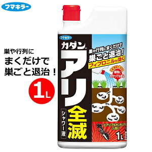 t}L[ Ȃ 쏜 E ASŃV[t 1L t  O  Ő Q 쏜 ΍ qA AJJ~A A[`A J_