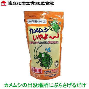 ƒ뉻w JV E JV΍ JV 20g×12 Q΍ hpi
