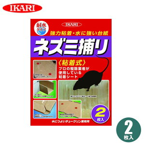 ˂ݕ߂ lY~쏜 lY~ߊl lY~ߊlp lY~ 쏜 gbv  S V[g ˂݂Ƃ SV[g CJ `[N Ɩp 2  䏊