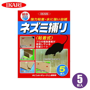 ˂ݕ߂ lY~쏜 lY~ߊl lY~ߊlp lY~ 쏜 gbv  S V[g ˂݂Ƃ SV[g CJ `[N Ɩp 5  䏊