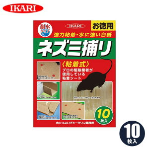 ˂ݕ߂ lY~쏜 lY~ߊl lY~ߊlp lY~ 쏜 gbv  S V[g ˂݂Ƃ SV[g CJ `[N Ɩp 10  䏊