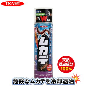 Jf 쏜  Xv[ Q쏜 Jf΍  O pXv[ R[hXv[ Jfގ 点 _SV WV A VN Jfp R[hGA][ 300ml 