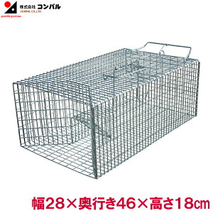 コンパル ネズミ捕獲器 ネズミ捕り かご 小動物 害獣捕獲器 イタチ リス W28×D46×H18cm アニマルキャッチャー 動物キャッチャー
