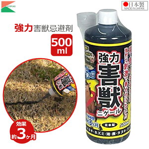 AteB    nNrV C^` ^kL ACO} L ͊QbjQ[ 500ml Qb΍ 쏜