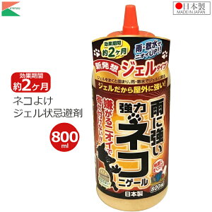 AteB L  lRjQ[ 800ml ǔL mlR ΍ L悯  Ԓd ԏ