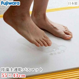珪藻土バスマット NEW足乾バスマット 日本製 風呂マット 足ふきマット フジワラ化学 吸水 速乾 おしゃれ