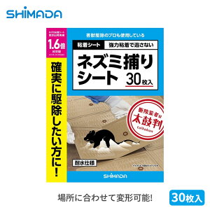 SHIMADA lY~߂V[g 30 lY~΍ lY~ߊl 쏜 lY~ގ SV[g ˂ ϐ ͔S 䏊  q