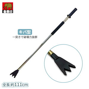 ASK X   炭ynh{[ Lo^ XChn}[ pi X ACXsbP ACXsbN Xӂ X͂