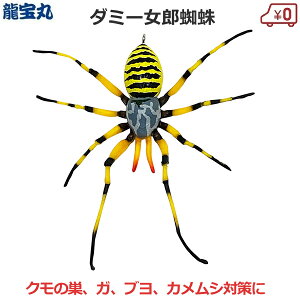 ~LRX _~[ Yw N Q ΍ ݂艺 10×10.5cm w偂̑ \h JV u  AuV   _ _ ܕsgp M-46