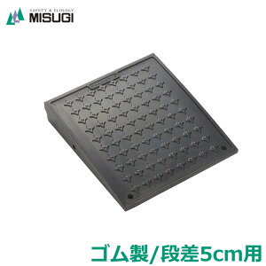 iv[g 5cmp S TCgLXR[i[ CAS-050 ԏ i X[v É Â ~XM