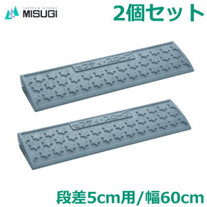 iv[g 2Zbg 5cmp 60cm ZteBX[v O[ SS-050 ԏ  6tԑΉ ~XM