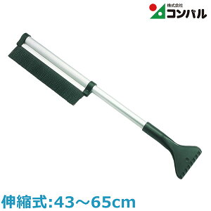 Rp uV RpNg y 43cm`65cm Lk  Ȃ ቺ낵 | 
