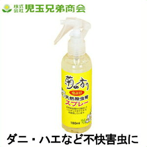 Xv[ 180ml I[KjbN VRf e̍ VReXv[ Ԍ ߗ ʌZ폤  _j悯 sQ  {