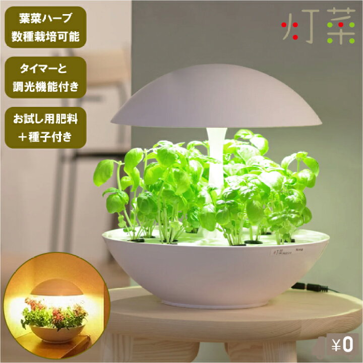 楽天市場】灯菜 水耕栽培キット おしゃれな 水耕栽培器 タネ付き 