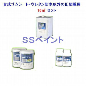 AgnEXyCg@hh@SV[gEE^hȊŐhp@16m2pZbg(lʃTCYj