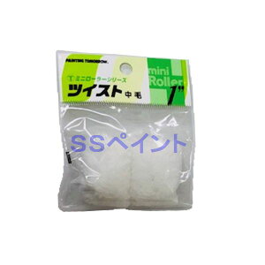 ˍѐ@yCg[[@cCXgiсj() 1MS-TWB@~j[[@TCYF1C`@яF13~@2{