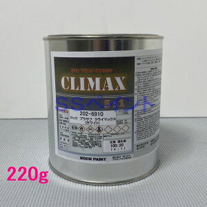 bNyCg@202-6910@vTtNC}bNXizCgj܁@220g@idܕʔj