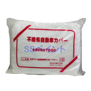 sDzԗ{Jo[(ԗ{Jo[)@{bNXԃTCY@4.8×7.5M@1