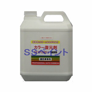 NX^vZX@J[܁@ubNEZFԐp(lւp)@eʁF4L