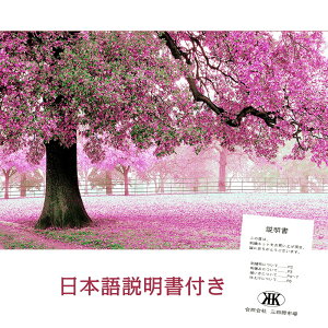 y15%OFF܂ƂߔN[| ΏۏizNXXeb` J hJLbg DIY S wʂ ʂt ƒhJi ٖD z[fR[V|p 蕨 nI ǃA[g |