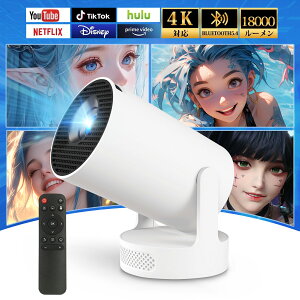 vWFN^[ yʏ^ ƒp V䓊e ^ 180x] Android TV `␳ Z Xs[J[ HDMI R z[VA^[ wi-fi6