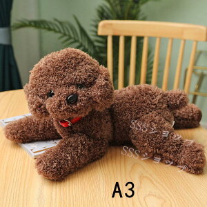 ?ʂ  ̂ʂ    Z ̂ʂ Z   ̎q j̎q q ӂӂ zn v[g YQ  a Mtg NX}X v