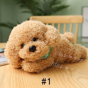 ?ʂ  ̂ʂ    Z ̂ʂ Z   ̎q j̎q q ӂӂ zn v[g YQ  a Mtg NX}X v