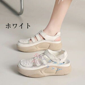  Xj[J[T_ OJT_ fB[X  fB[X Xj[J[ Xj[J[ T_T_ X|[cT_ ~  U ʊw ʋ tďHp 