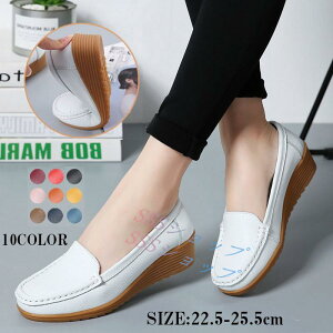 JV fB[X  [t@[ pvX tbgV[Y Xb| T_ {v _炩 ₷ }}V[Y RtH[g i[XV[Y JWA h