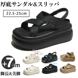 X|[cT_ 7cmq[ T_  T_ TCY Xbp fB[X bNX T_ y RtH[g ₷ r[`T_ 傫TCY C AEg