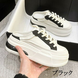 Xj[J[ fB[X X|[cV[Y ^C ƂȂ Ȃ ₷ JWAV[Y ~  U ʊw ʋ tďHp r gAbv q[6cm zC