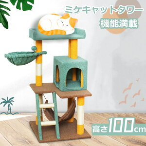 Lbg^[ nbN O gݗ 3F @\ ܂Ƃ |[ xbh ybgxbh Lpi ܌   {[  L Jt v[gLpi