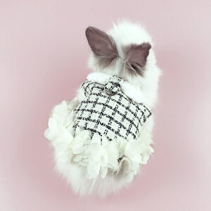 yn[lXtzETM qL n[lX [h Zbg   bg p ^nX^[ \  Up[h opi U y ȒPE q