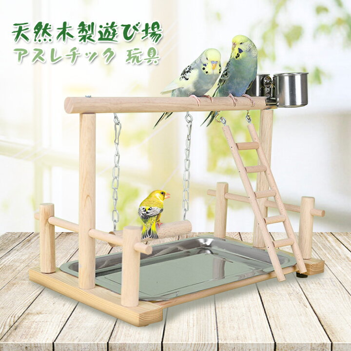 楽天市場】【新作登場】インコ 遊び場 バード アスレチック 玩具 