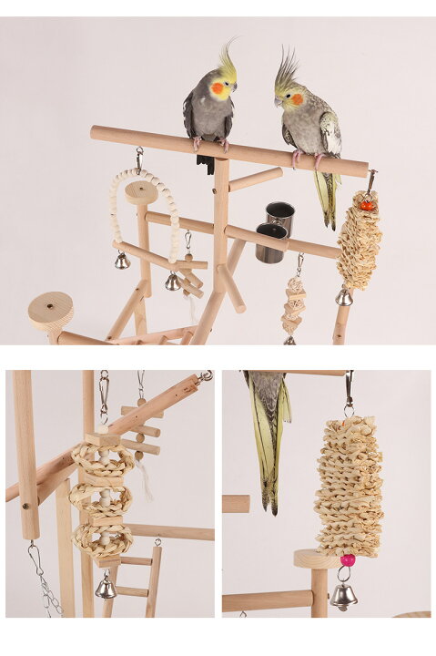 楽天市場】タンド 鳥 止まり木 餌入れ付き 鳥遊び場 トイ 鳥 はしご 