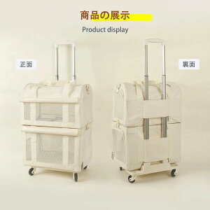 Lp2CpL[ 2w\ 4֎ ʋCQ Ή ybgL[obO a@ s Up