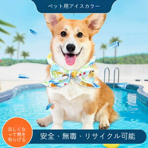 ybgpplbNN[[ ėpЂ Lp΍ pWF Mǖh~