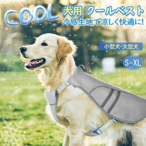 N[xXg p S`XL L MǑ΍ ЂxXg ⊴ ^ ^ ^Ђ ˃C ڐG⊴ ybg ЂxXg  ΍ ObY ybg ₷  L 