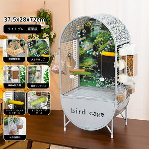 yN[|zz ő2000~zy^zVR؃obNplt IEECRP[W LXnEX^Cv DIYCAEg\ o[hP[W EA{EVCRizj