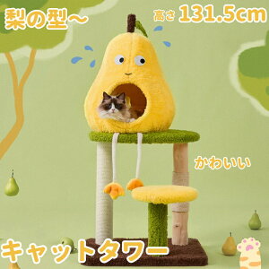 y\̔`zLbg^[ ̌^ ~j L^[ ^   ȒP ^s u ʔ lC RpNg ȃXy[X R܌ ܂Ƃ|[ nbN ]|