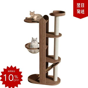 yN[|zz ő2000~zy^ VR؁z10cmɑ܂Ƃt Lbg^[ 䑽ivCGA  ω׏d50kgΉ SSxr[dl 165cm 1Nۏ