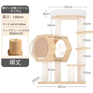 ؔL^[ L̑ oď^ Ԃ߂Ȃ  LI Lܔ L lbg F