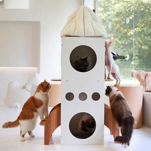 yFnŗVׂIz^PbgLbg^[ ܌ B Vя qLL̑@\fUC