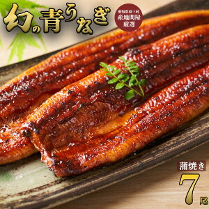 幻の鰻 あお天井 蒲焼き 7尾(8〜9人前) 鰻 うなぎ ウナギ 1050g タレ 山椒付き 冷凍 ギフト プレゼント お中元 お歳暮 母の日 敬老の日 土用の丑の日 【愛知県東三河産地問屋直送】